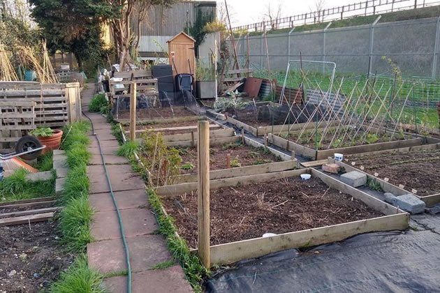 Petition Launched To Save Southfields Allotments
