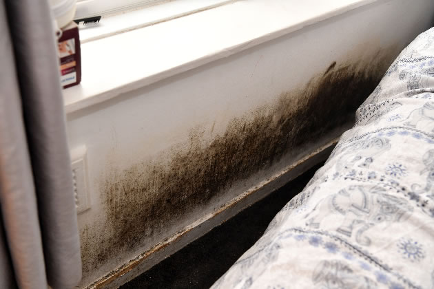 Mould has built up all over the property