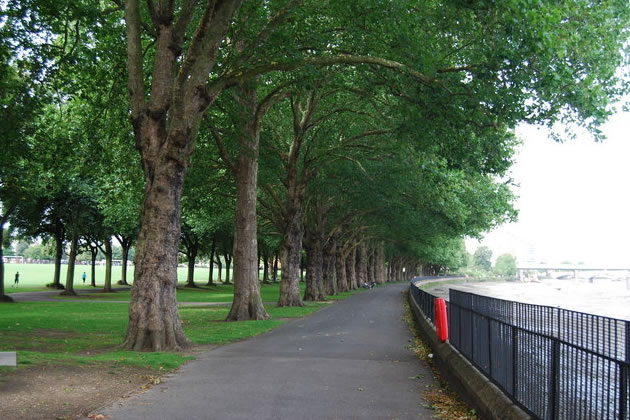 The Thames Path in Wandsworth Park