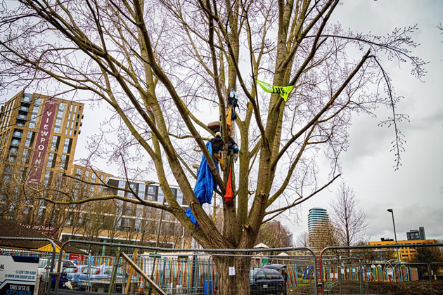 Tree protectors in York Gardens, Battersea. Credit: Anthony Jarman.